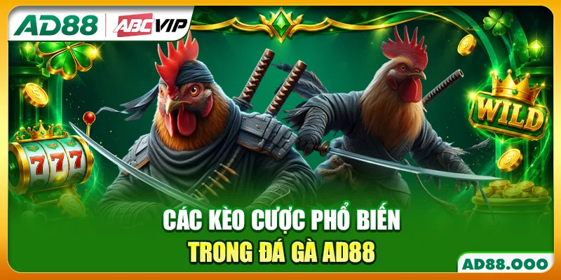 Các kèo cược phổ biến trong đá gà AD88
