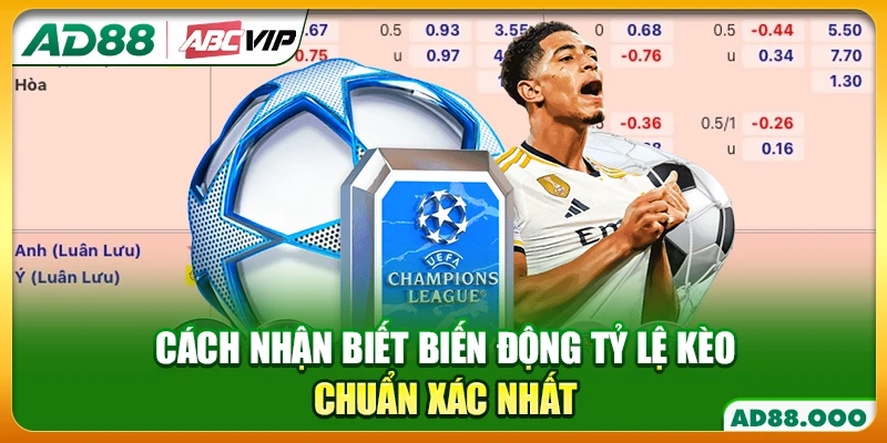 Cách nhận biết biến động tỷ lệ kèo chuẩn xác nhất