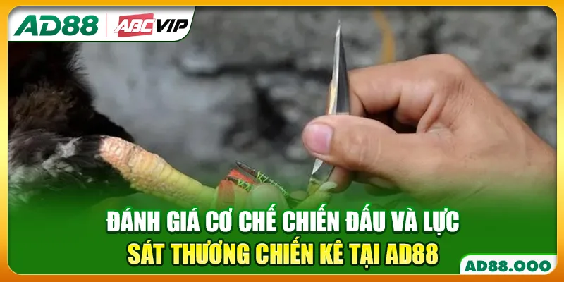 Đánh giá cơ chế chiến đấu và lực sát thương chiến kê tại AD88