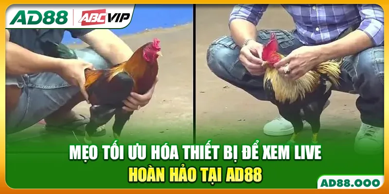 Mẹo tối ưu hóa thiết bị để xem live hoàn hảo tại AD88