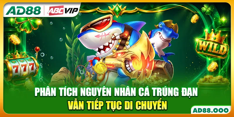 Phân tích nguyên nhân cá trúng đạn vẫn tiếp tục di chuyển