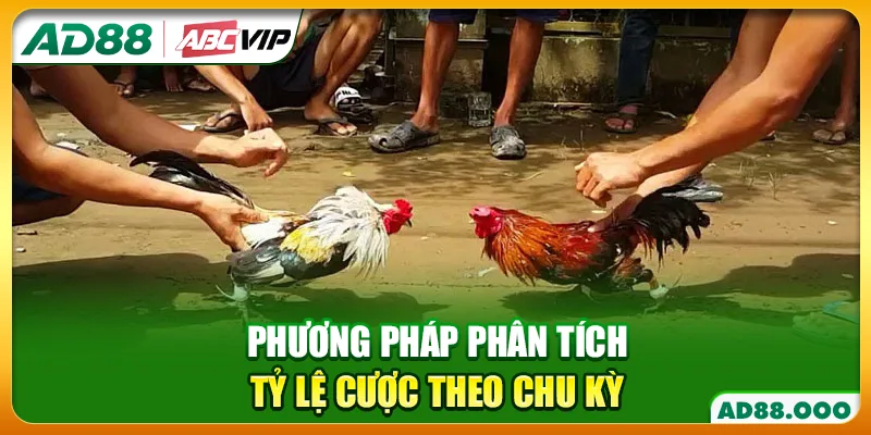 Phương pháp phân tích tỷ lệ cược theo chu kỳ