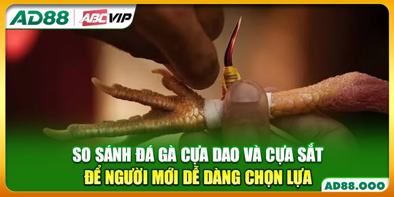 So sánh đá gà cựa dao và cựa sắt để người mới dễ dàng chọn lựa