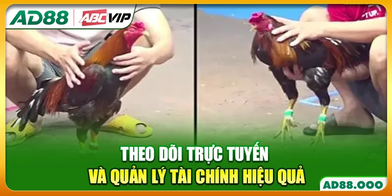 Theo dõi trực tuyến và quản lý tài chính hiệu quả