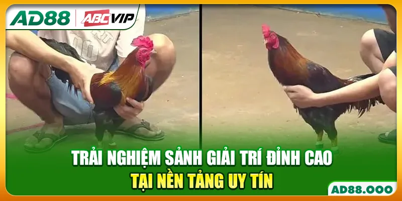 Trải nghiệm sảnh giải trí đỉnh cao tại nền tảng uy tín